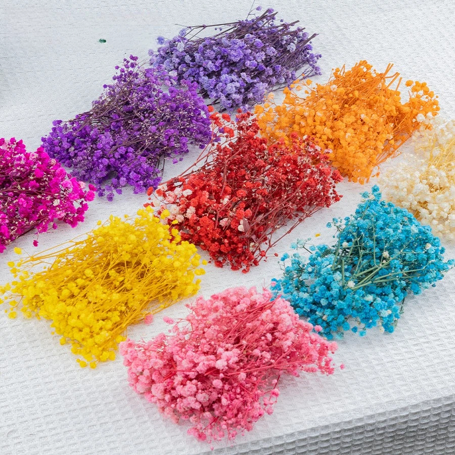Baby Breath Dried - 50pcs Mini Dried Baby's Breath Flowers