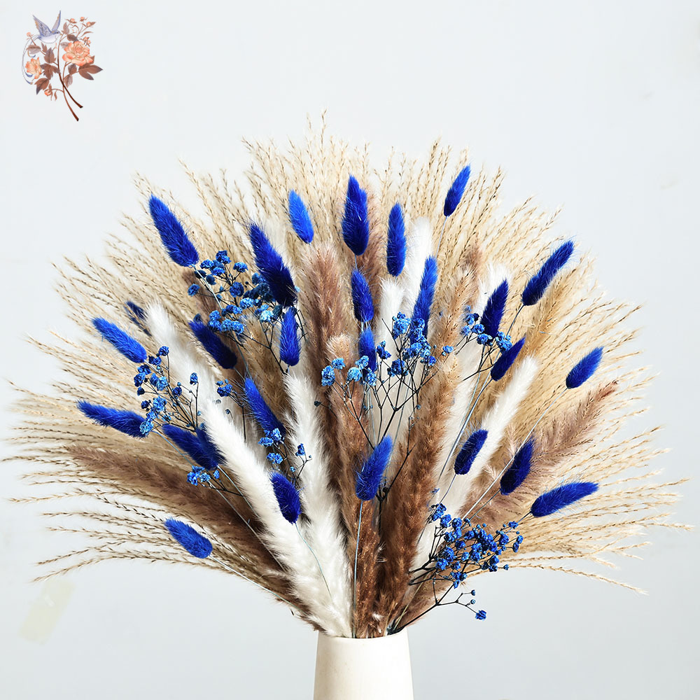 70 Stem Blue Fluffly Rabbit Ta – Baby Breath Dried Bewertung und Preis