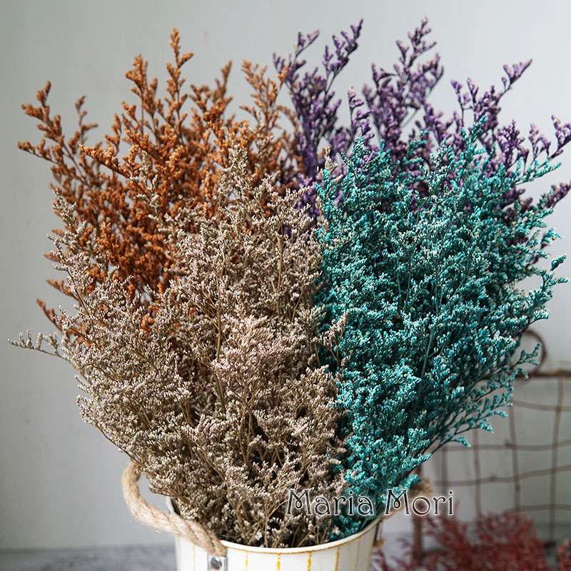 50g/Preserved Valentine's Gras – Baby Breath Dried Bewertung und Preis