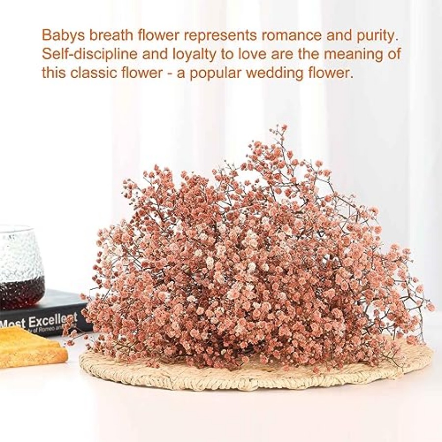 Babys Breath Dried Flowers Bou – Baby Breath Dried Bewertung und Preis