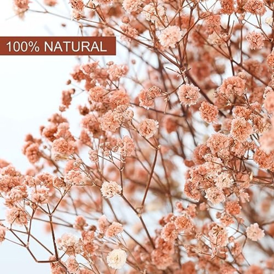 Babys Breath Dried Flowers Bou – Baby Breath Dried Bewertung und Preis