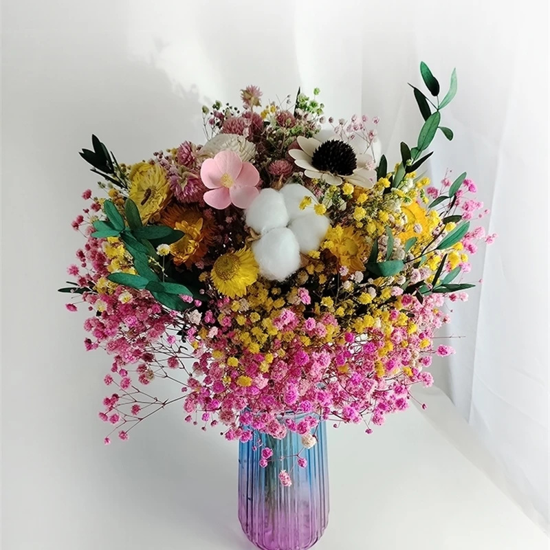 Natural Dried Flower Gypsophil – Baby Breath Dried Bewertung und Preis