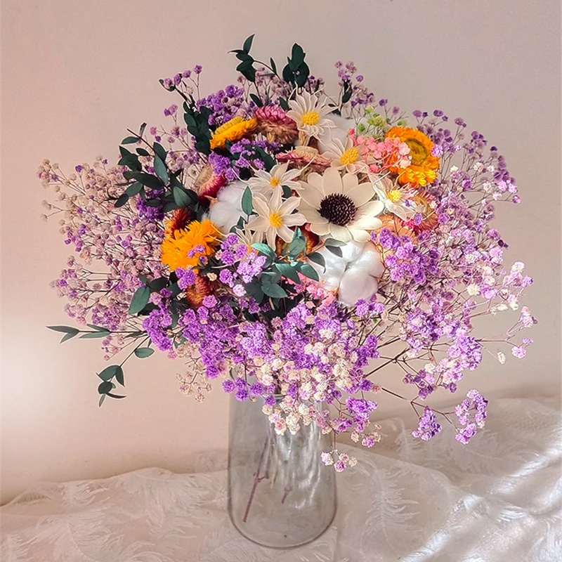 Natural Dried Flower Gypsophil – Baby Breath Dried Bewertung und Preis