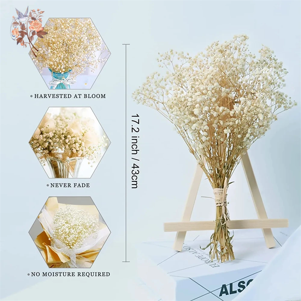 Real Baby Breath Dried Flowers – Baby Breath Dried Bewertung und Preis