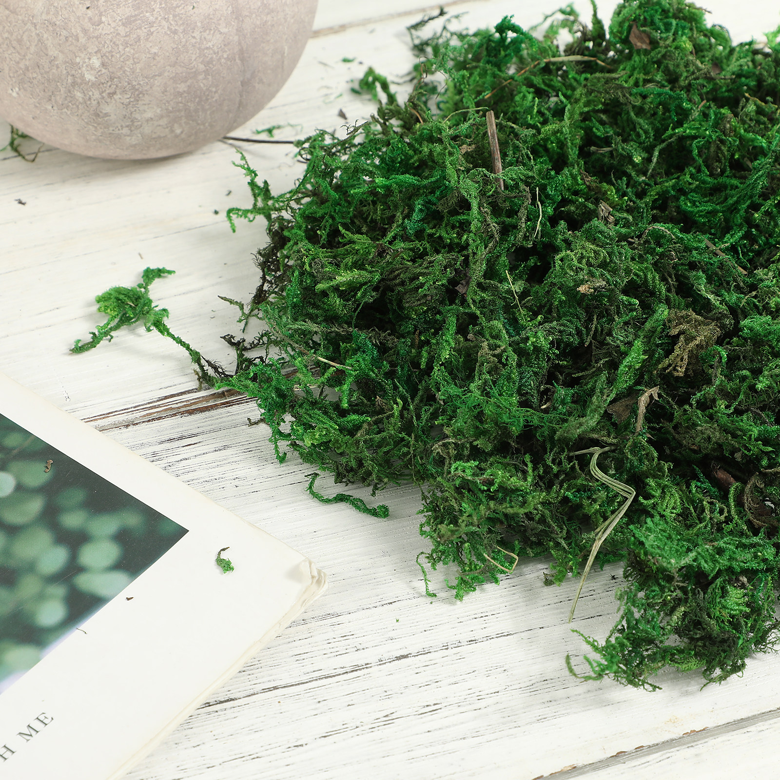 1Pack Natural Color Artificial – Preserved Moss Sheet Bewertung und Preis