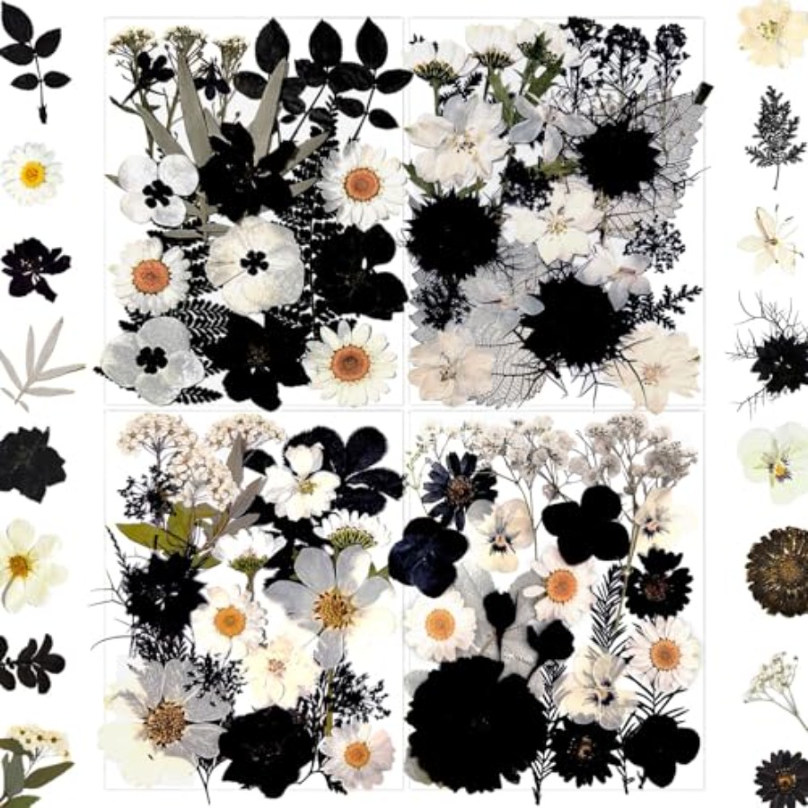 90Pcs Black Pressed Dried Flow – Baby Breath Dried Bewertung und Preis