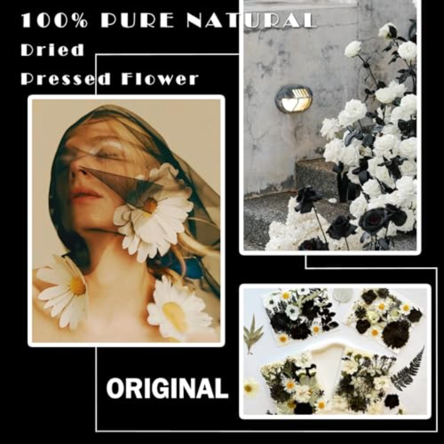 90Pcs Black Pressed Dried Flow – Baby Breath Dried Bewertung und Preis