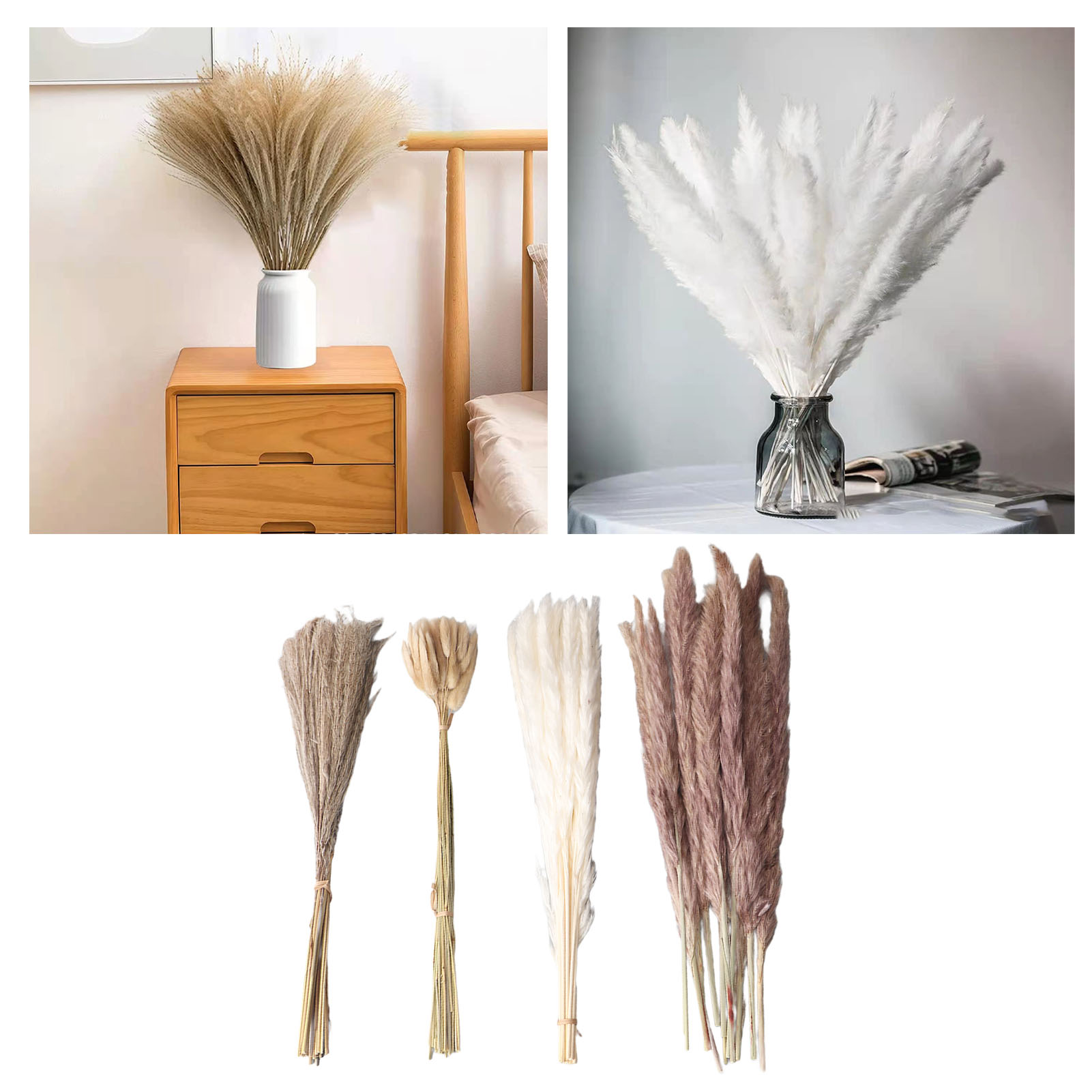 Natural Dried Pampas Grass Flu – Baby Breath Dried Bewertung und Preis