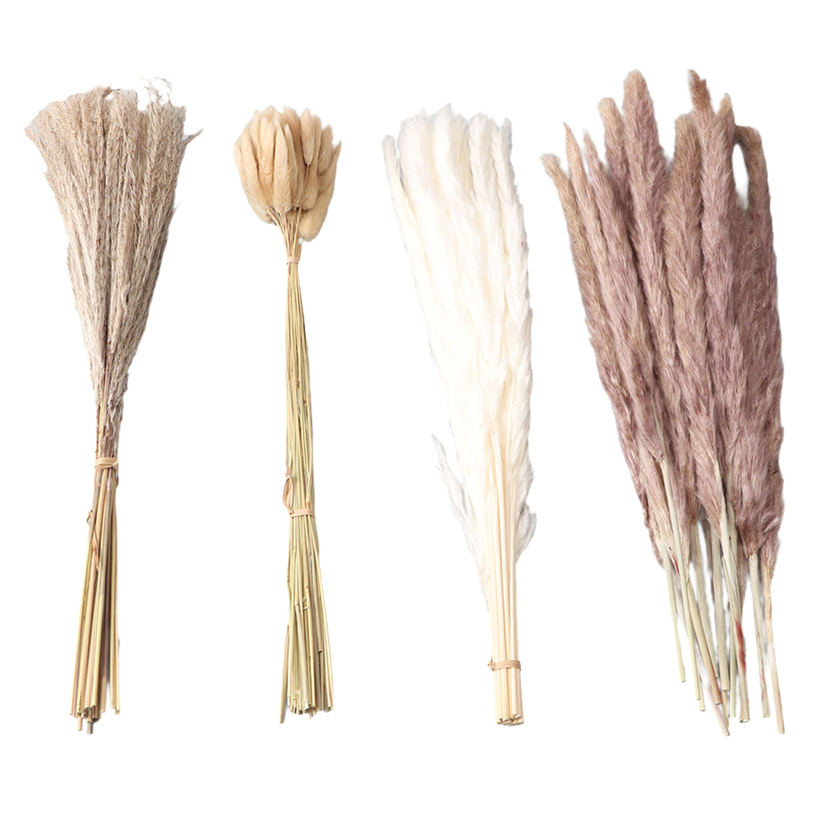 Natural Dried Pampas Grass Flu – Baby Breath Dried Bewertung und Preis