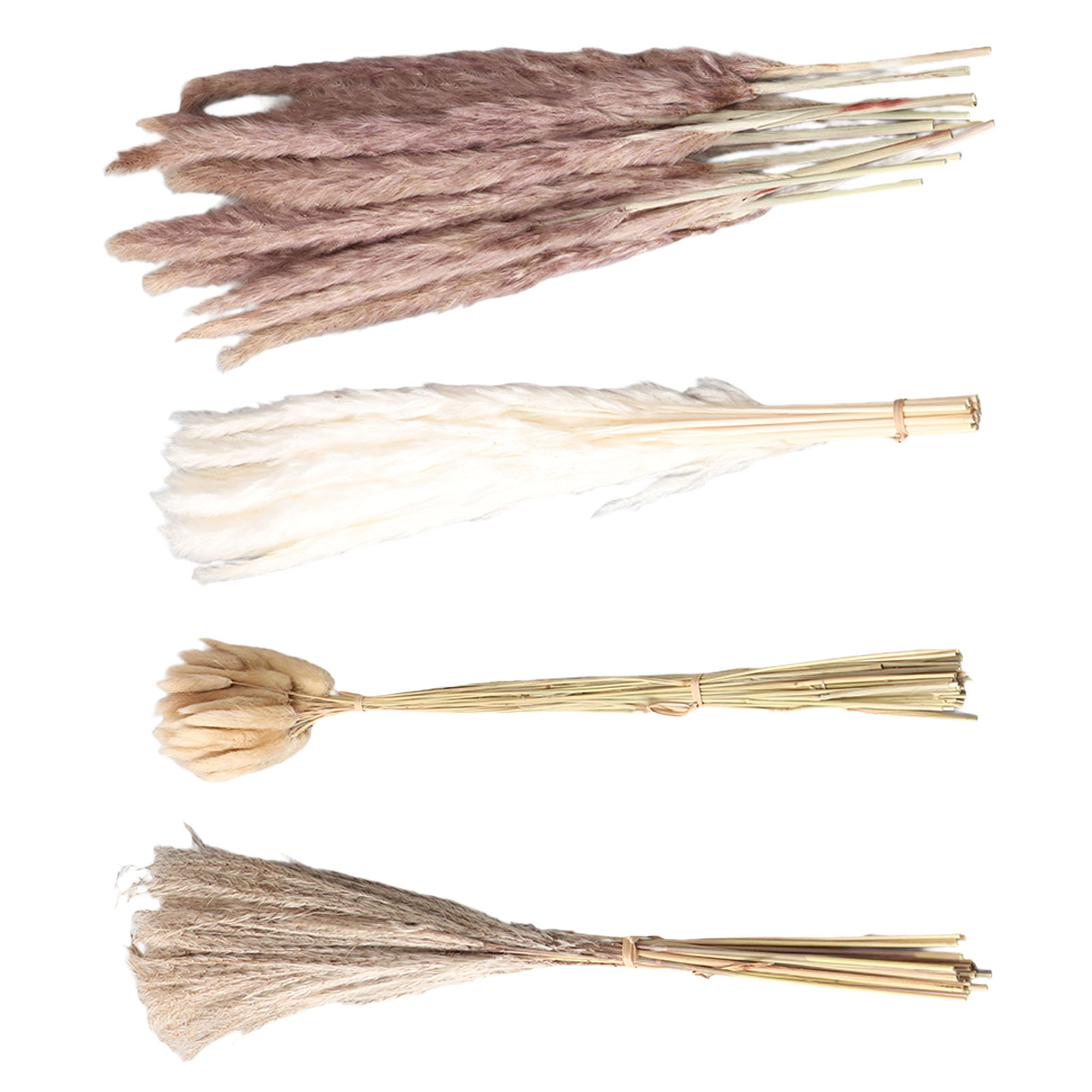 Natural Dried Pampas Grass Flu – Baby Breath Dried Bewertung und Preis