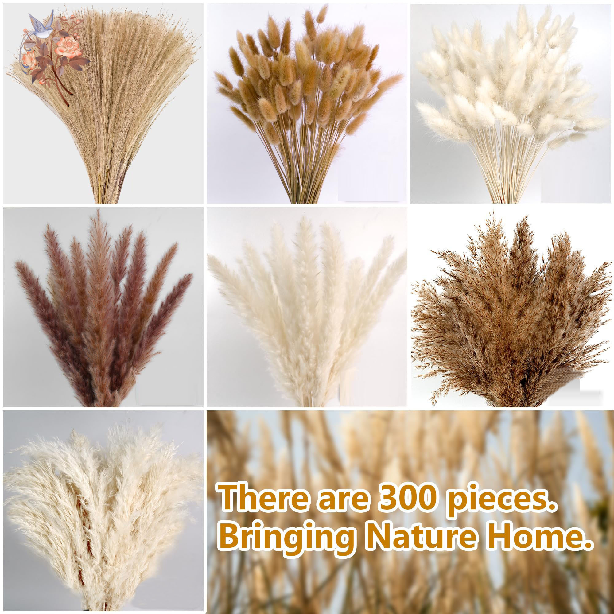 300Pcs Natural Large Pampas Gr – Baby Breath Dried Bewertung und Preis