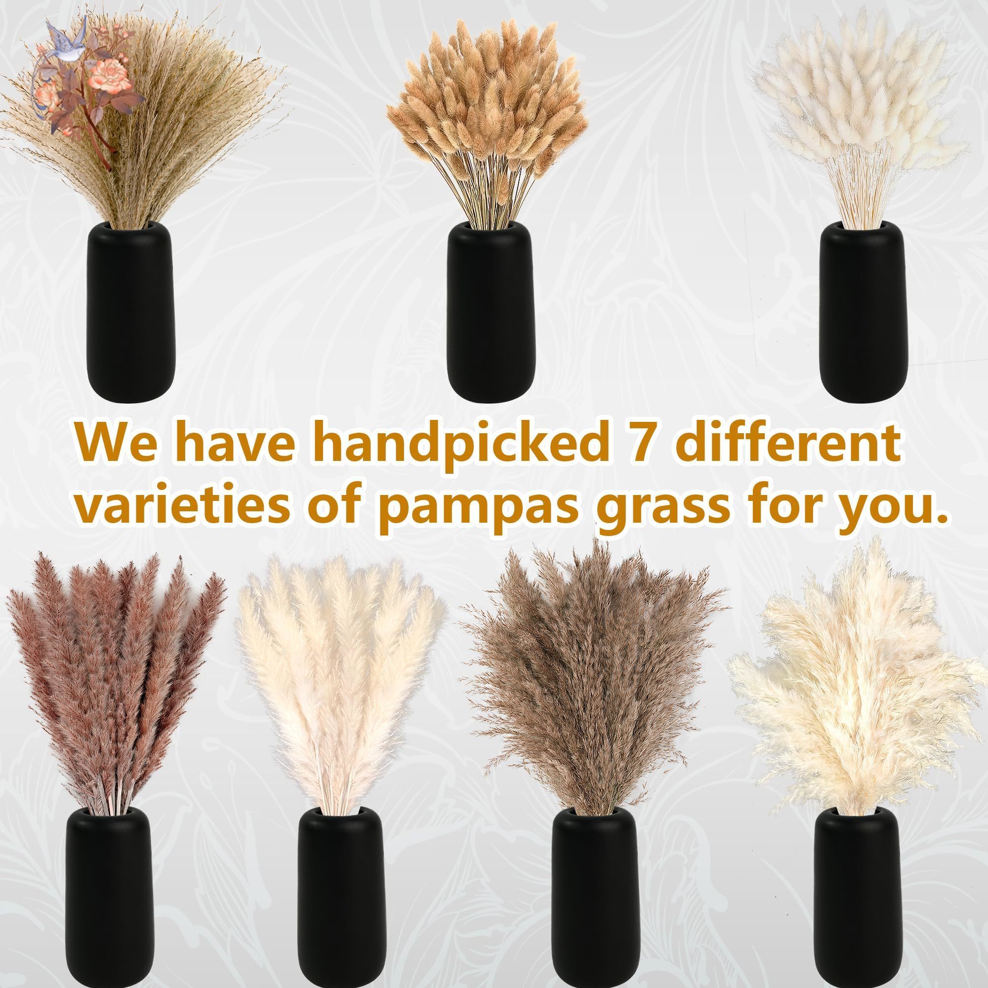 300Pcs Natural Large Pampas Gr – Baby Breath Dried Bewertung und Preis