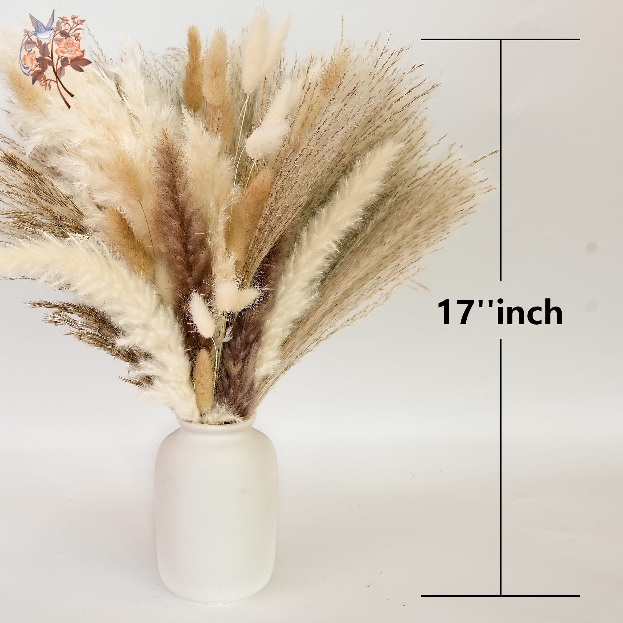 300Pcs Natural Large Pampas Gr – Baby Breath Dried Bewertung und Preis