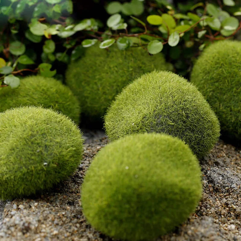 Artificial Moss Grass Micro La – Preserved Moss Sheet Bewertung und Preis
