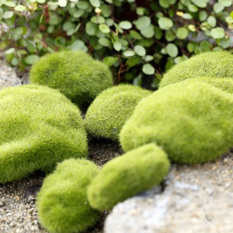 Artificial Moss Grass Micro La – Preserved Moss Sheet Bewertung und Preis