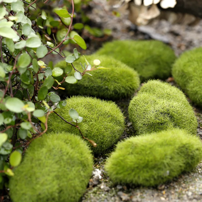 Artificial Moss Grass Micro La – Preserved Moss Sheet Bewertung und Preis