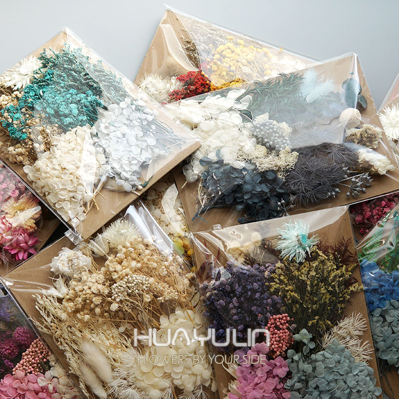 1 Pack Artificial Plants Dried – Baby Breath Dried Bewertung und Preis