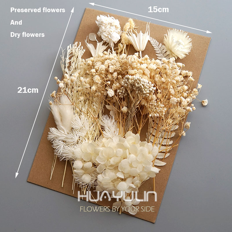 1 Pack Artificial Plants Dried – Baby Breath Dried Bewertung und Preis
