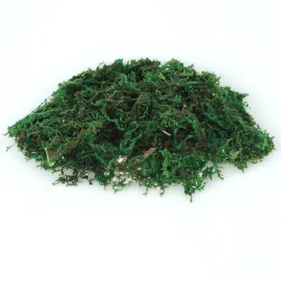 1Pack Artificial Preserved Dec – Preserved Moss Sheet Bewertung und Preis
