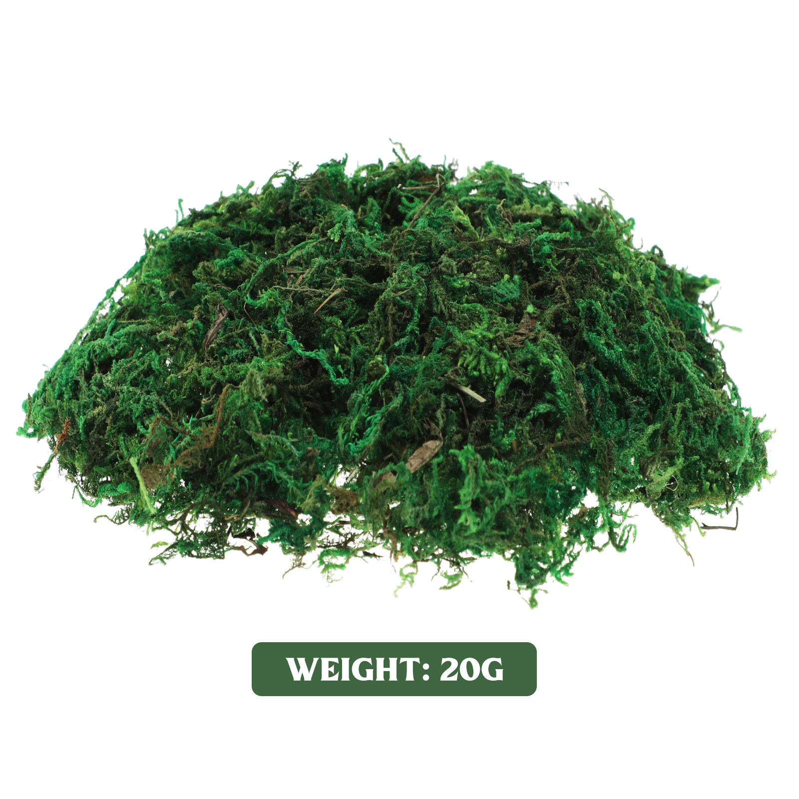 1Pack Artificial Preserved Dec – Preserved Moss Sheet Bewertung und Preis