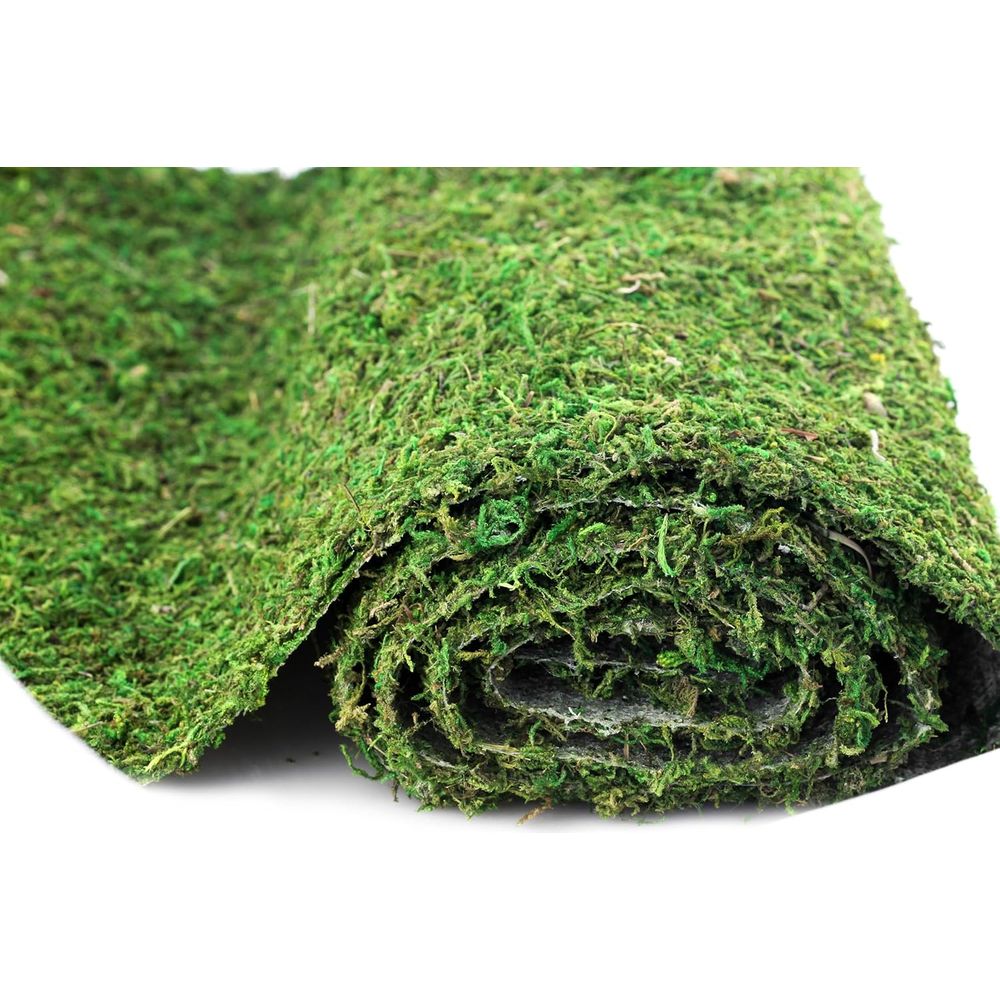 Preserved Moss Sheet - 3ft x 2 – Preserved Moss Sheet Bewertung und Preis