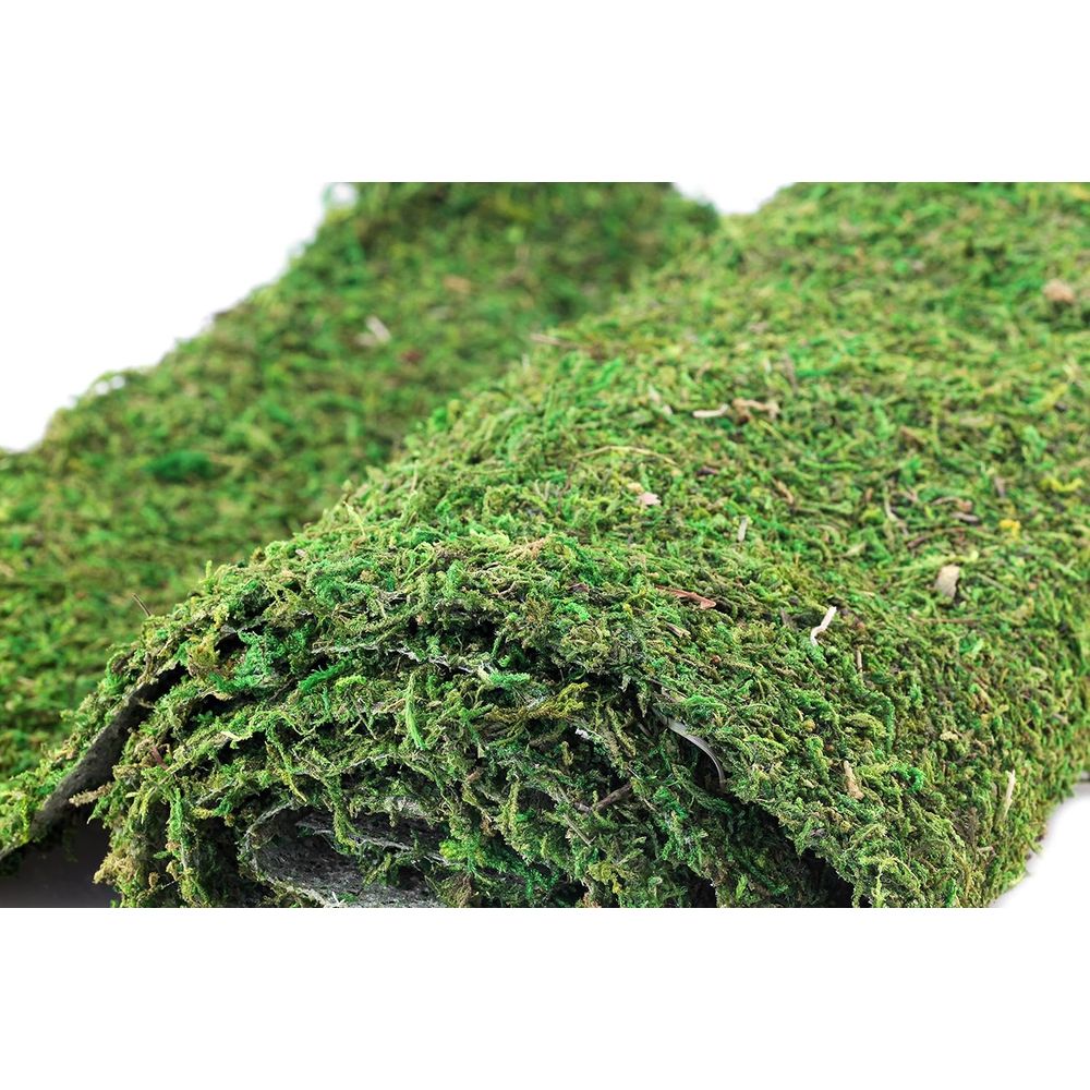 Preserved Moss Sheet - 3ft x 2 – Preserved Moss Sheet Bewertung und Preis